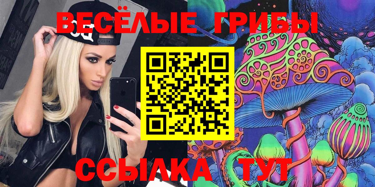 Галлюциногенные грибы Cubensis  Вход с VPN  Дмитров 